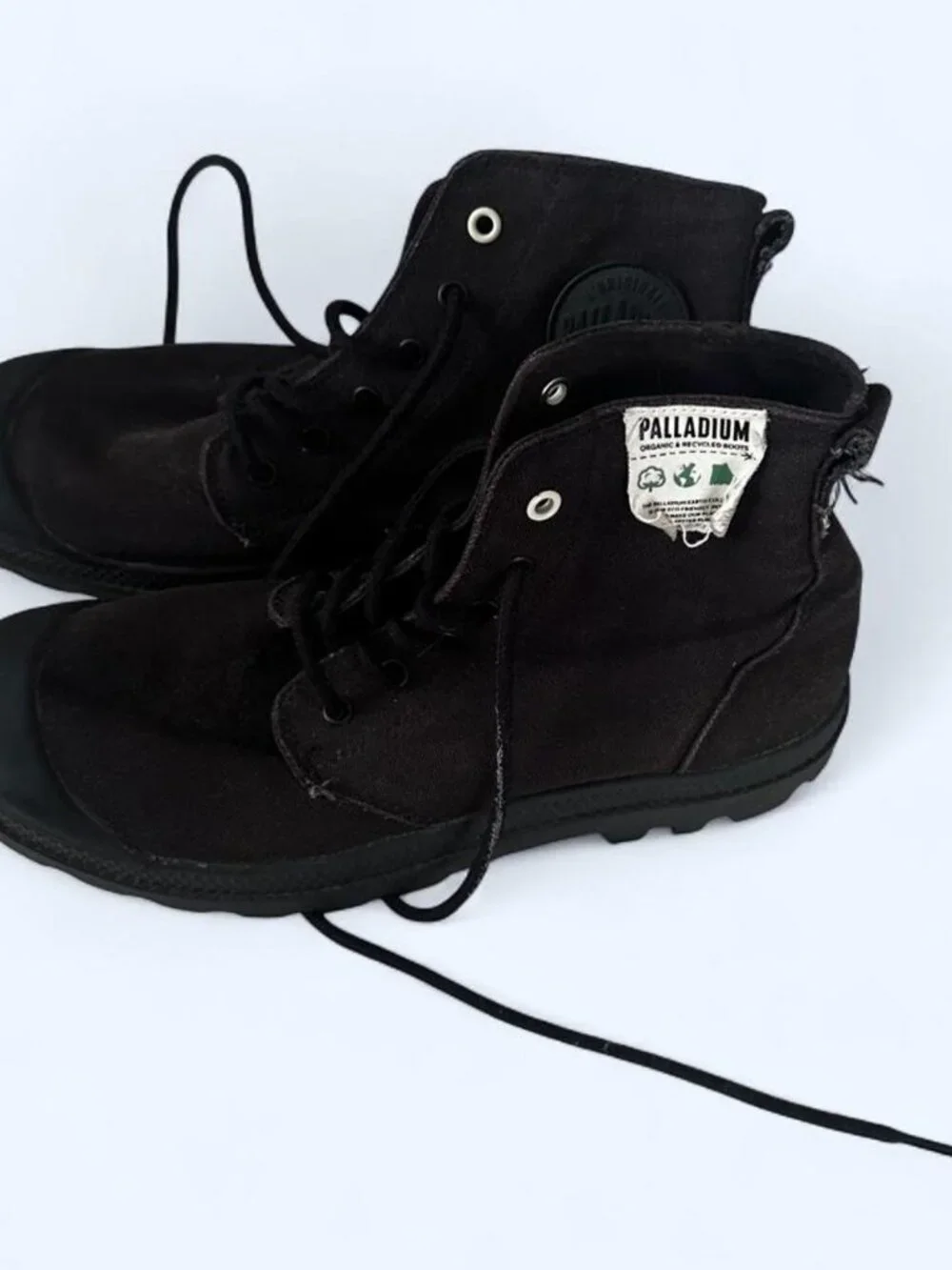 Palladium black canvas